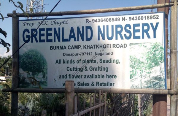 Greenland nursery (2)