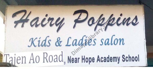 Hairy Poppins Kids & Ladies Salon