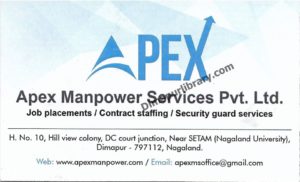Apex Manpower Services Pvt. Ltd (4)