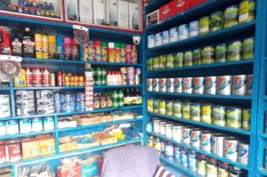 Ms United Colours Paint shop Dimapur Nagaland (1)