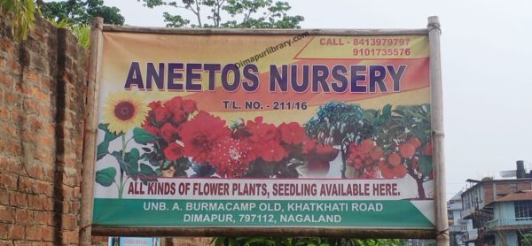 Aneetos Nursery dimapur green house plants flowers seedling in dimapur