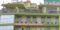 Capital College of Higher Education
