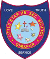 little star higher secondary school dimapur