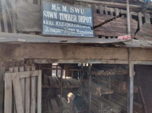 Timber Dimapur Nagaland Lumber wood for sale timber furniture construction MS M Swu