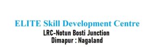 ELITE-Skill-Development-Centre-Dimapur-Nagaland-Nursing-Agency-900x341