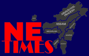 netimes_logo